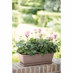 elho 8711904157517 accessoire de plantation Soucoupe