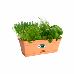 elho 8711904159528 pot à fleurs Intérieur & extérieur Plastique Marron