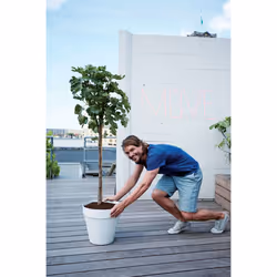 elho loft urban round 40 Extérieure Kit de plantation en pot Autonome Polypropylène (PP) Blanc - Vue supplémentaire 6