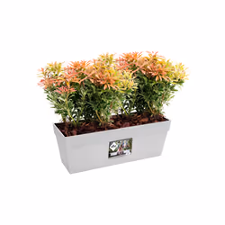 elho 8711904186920 pot à fleurs Extérieure Plastique Blanc