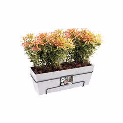 elho loft urban trough allin1 50 Extérieure Kit de plantation en pot Support Polypropylène (PP) Blanc