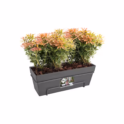 elho 8711904189372 pot à fleurs Extérieure Plastique Noir