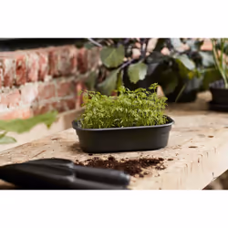 elho 8711904194307 accessoire de plantation - Vue supplémentaire 4