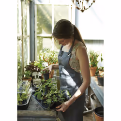 elho 8711904194420 accessoire de plantation Soucoupe