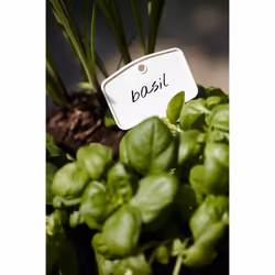 elho green basics plantlabels m Étiquette pour plante
