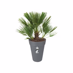 elho 8711904200930 jardinière Noir Plastique