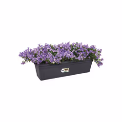 elho 8711904221713 pot à fleurs Extérieure Plastique Noir - Vue supplémentaire 4