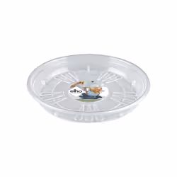 elho 8711904228637 accessoire de plantation Soucoupe