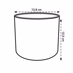 elho 8711904229252 jardinière Blanc Plastique - Vue supplémentaire 11