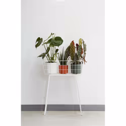 elho 8711904229252 jardinière Blanc Plastique - Vue supplémentaire 6