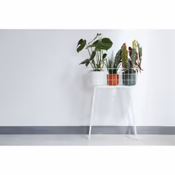 elho 8711904229252 jardinière Blanc Plastique - Vue supplémentaire 7