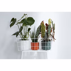 elho 8711904229252 jardinière Blanc Plastique - Vue supplémentaire 8