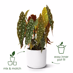 elho 8711904229610 jardinière Blanc Plastique - Vue supplémentaire 6