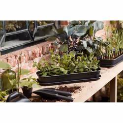 elho green basics grow tray saucer L Soucoupe