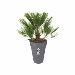 elho loft urban round high 28 Extérieure Kit de plantation en pot Autonome Polypropylène (PP) Anthracite