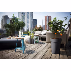elho 8711904238742 accessoire de plantation Soucoupe