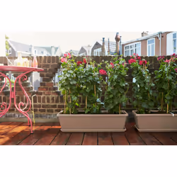 elho 8711904247256 pot à fleurs Extérieure Plastique Marron