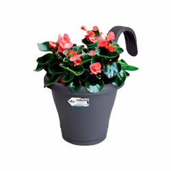 elho corsica easy hanger single Extérieure Kit de plantation en pot Support Polypropylène (PP) Anthracite