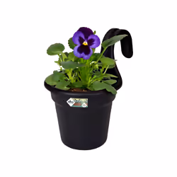 elho 8711904247935 pot à fleurs Extérieure Plastique Noir