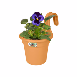 elho 8711904247966 pot à fleurs Extérieure Plastique Marron