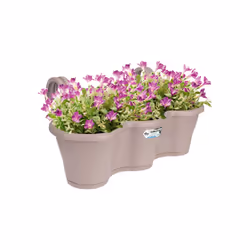 elho 8711904248062 pot à fleurs Extérieure Plastique Marron