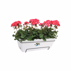 elho barcelona allin1 50cm Extérieure Kit de plantation en pot Support Polypropylène (PP) Blanc