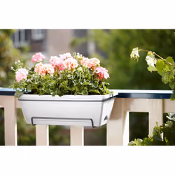 elho barcelona allin1 50cm Extérieure Kit de plantation en pot Support Polypropylène (PP) Blanc - Vue supplémentaire 5