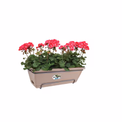 elho barcelona allin1 50cm Extérieure Kit de plantation en pot Support Polypropylène (PP) Taupe