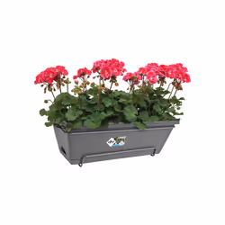 elho barcelona allin1 50cm Extérieure Kit de plantation en pot Support Polypropylène (PP) Anthracite - Vue supplémentaire 3