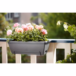 elho barcelona allin1 50cm Extérieure Kit de plantation en pot Support Polypropylène (PP) Anthracite - Vue supplémentaire 4