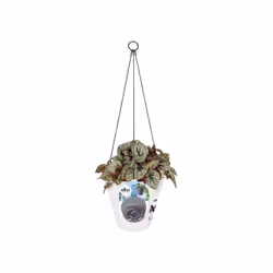 elho loft urban hanging basket 20 Extérieure Panier suspendu pour plantes Support Polypropylène (PP) Blanc