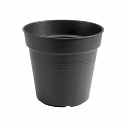 elho green basics growpot, Kit de plantation en pot, Autonome, Polypropylène (PP), Noir, Rond, Intérieur &amp; extérieur