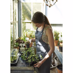 elho green basics growpot Intérieur & extérieur Kit de plantation en pot Autonome Polypropylène (PP) Noir - Vue supplémentaire 4