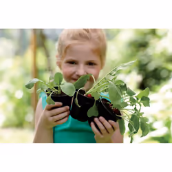 elho green basics growpot Intérieur & extérieur Kit de plantation en pot Autonome Polypropylène (PP) Noir - Vue supplémentaire 5