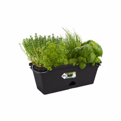 elho green basics balk mini allin1 30cm Extérieure Kit de plantation en pot Support Polypropylène (PP) Noir