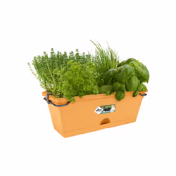 elho green basics trough mini allin1 30cm Extérieure Kit de plantation en pot Support Polypropylène (PP) Terre cuite