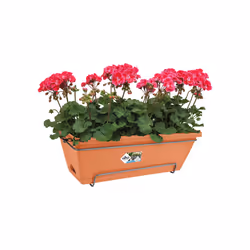 elho barcelona allin1 50cm Extérieure Kit de plantation en pot Support Polypropylène (PP) Terre cuite