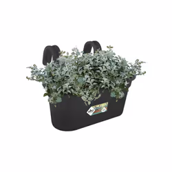 elho green basics easy hanger large Extérieure Kit de plantation en pot Support Polypropylène (PP) Noir