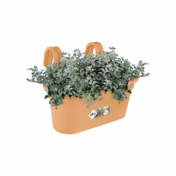 elho green basics easy hanger large Extérieure Kit de plantation en pot Support Polypropylène (PP) Terre cuite