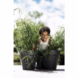 elho Green basics Extérieure Kit de plantation en pot Autonome Plastique Noir