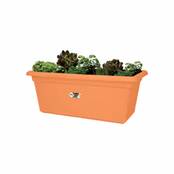 elho green basics garden xxl 60cm Extérieure Kit de plantation en pot Autonome Polypropylène (PP) Terre cuite