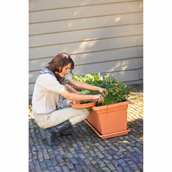 elho 8711904272012 accessoire de plantation Soucoupe