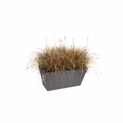 elho 8711904272401 pot à fleurs Extérieure Plastique Noir