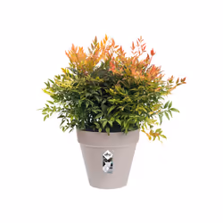 elho loft urban round 20 Extérieure Kit de plantation en pot Autonome Polypropylène (PP) Gris