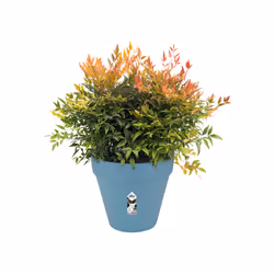 elho loft urban round 40 Extérieure Kit de plantation en pot Autonome Polypropylène (PP) Bleu