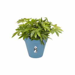 elho loft urban round 50 Extérieure Kit de plantation en pot Autonome Polypropylène (PP) Bleu