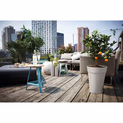 elho 8711904283315 accessoire de plantation Soucoupe
