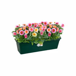 elho 8711904298715 pot à fleurs Extérieure Plastique Vert