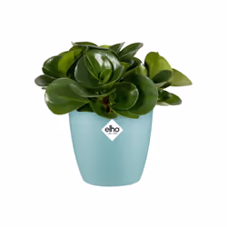 elho 8711904299408 jardinière Vert Plastique