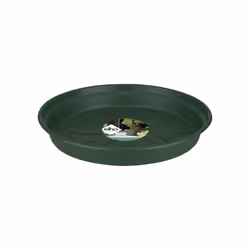 elho 8711904299989 accessoire de plantation Soucoupe